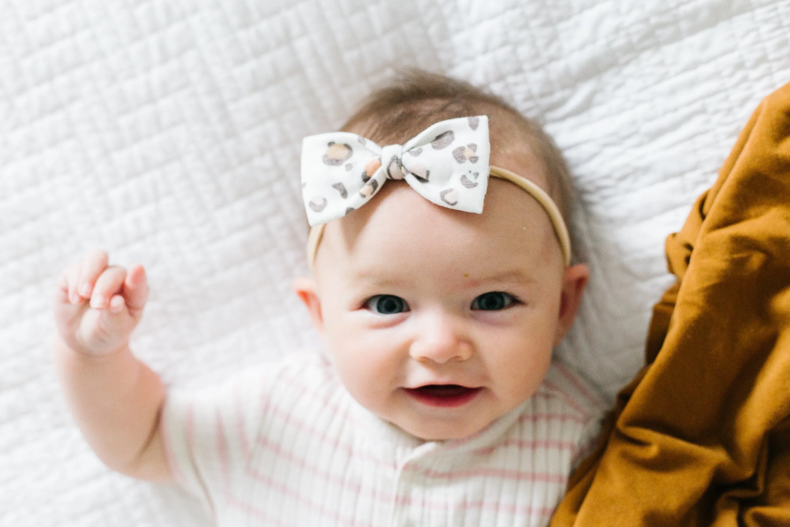 Bowtie Nylon Bow - Millie