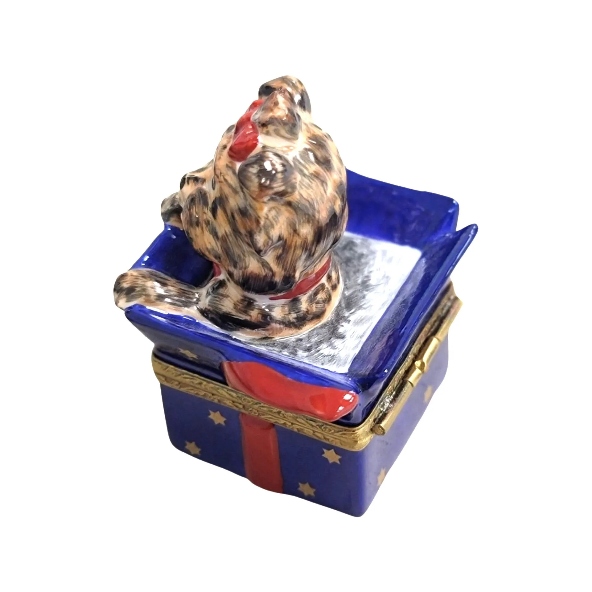 Dog in Blue Gift Present