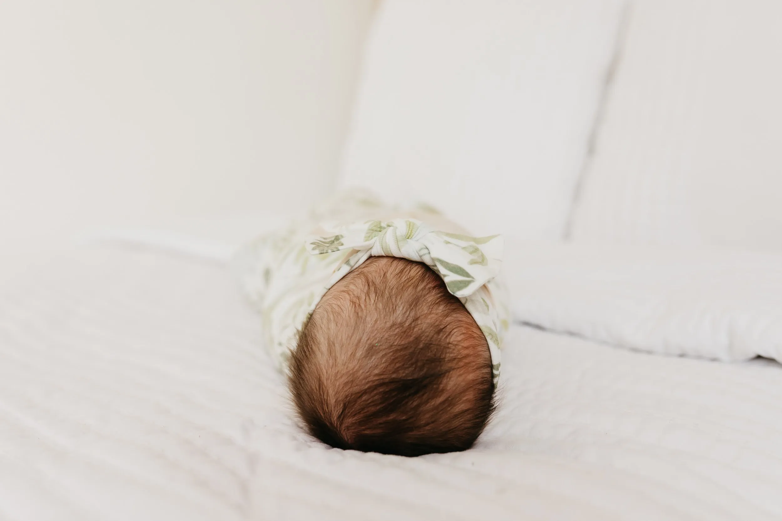 Knit Headband Bow - Rex